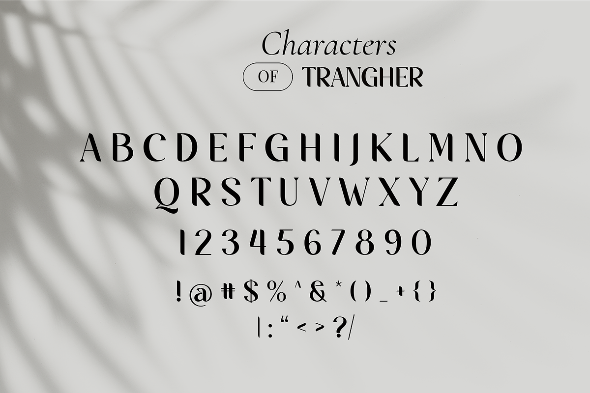 Modern and Elegant Serif Font Bundle, a Serif Font by Flat Icons
