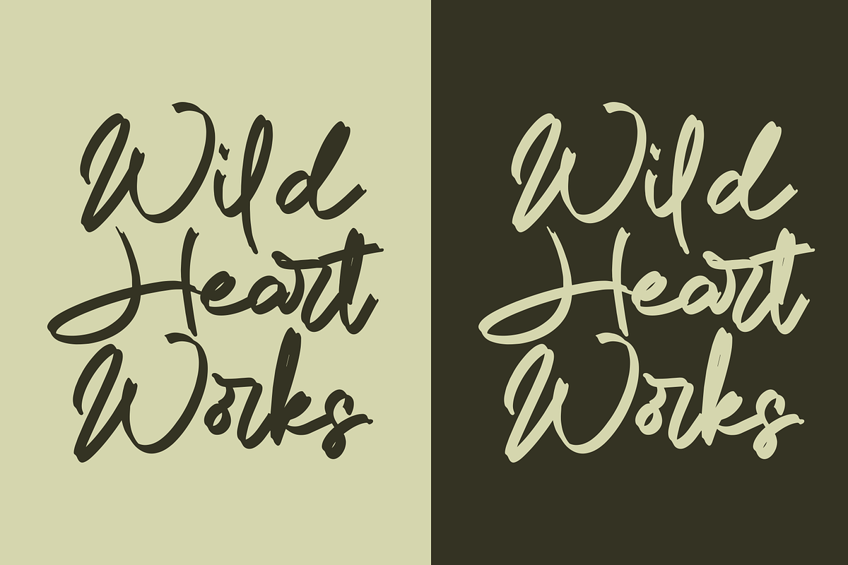 Clarison Dawn - Brush Script, a Script Font by Marvadesign (Photo 8 of 8)