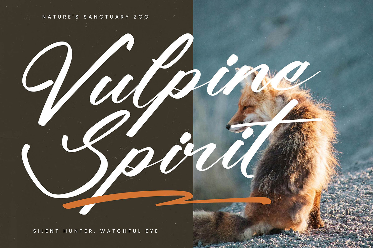 Climbing Nature Modern Calligraphy, a Script Font by Letterena Studios Script (Photo 10 of 15)