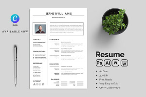Professional Resume CV Template