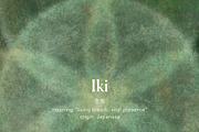 Understory Organic Backgrounds, a Background Graphic by alonahaidash (Thumbnail 11 of 15)