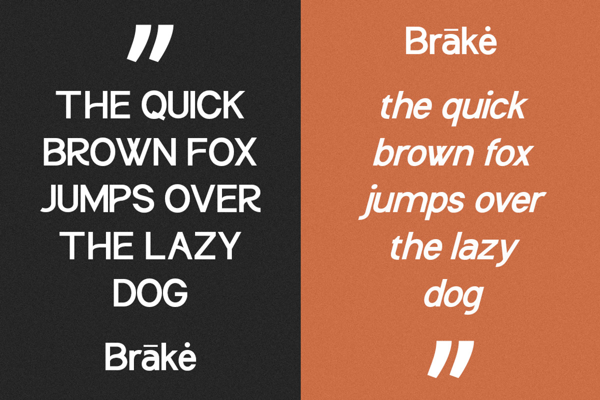 Brākė, a Sans Serif Font by Black Studio (Photo 11 of 16)