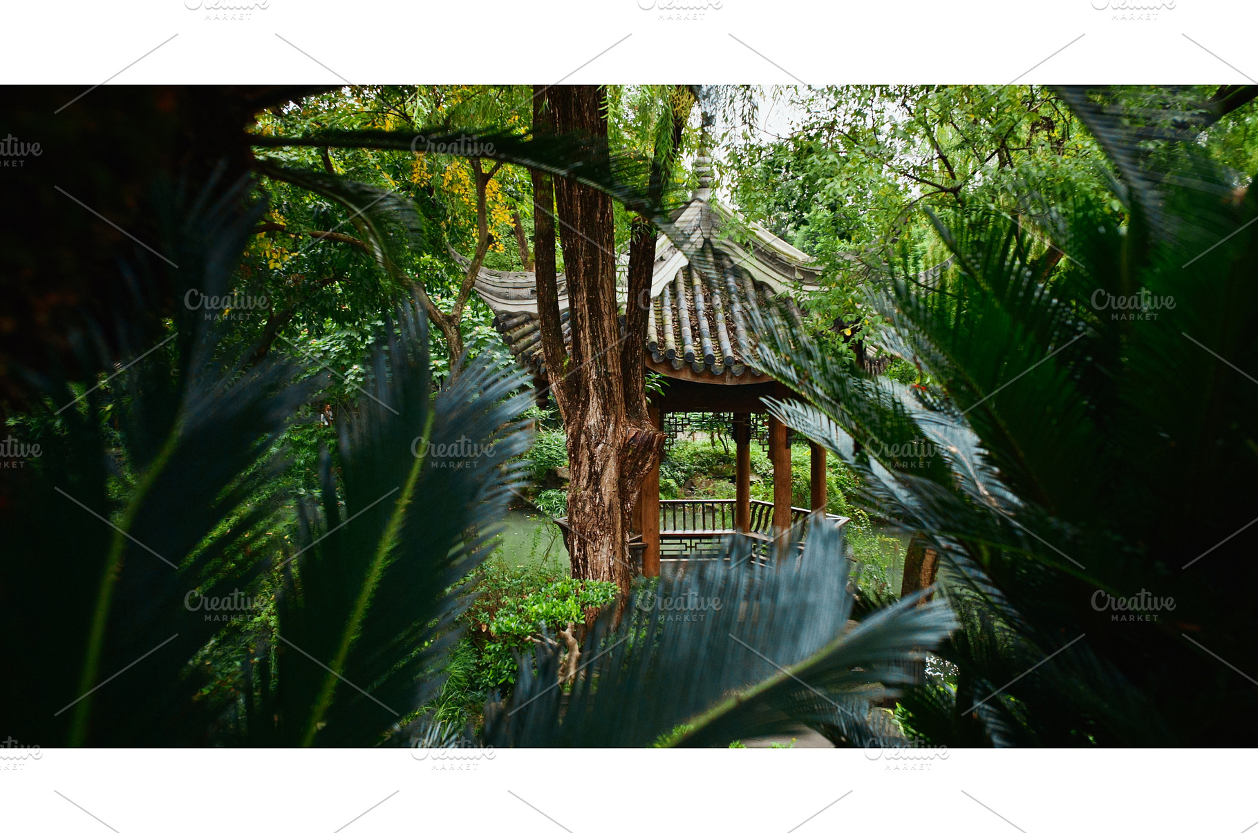 Chengdu, Sichuan, China. Garden Area, a Nature Photo by Our Amazing World