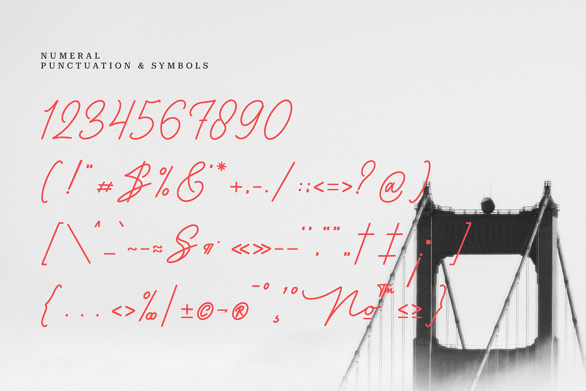 Maffenia Farmales | Monoline Stylish, a Script Font by Denustudios (Photo 11 of 14)