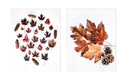 Deep Fall Bundle - Stock Photos, a Print Template by SunnyTangerine Stock (Thumbnail 4 of 12)