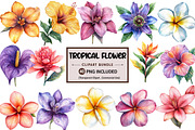 Tropical Watercolor Flower Bundle, an Illustration by Pixels.Craft (Thumbnail 1 of 8)