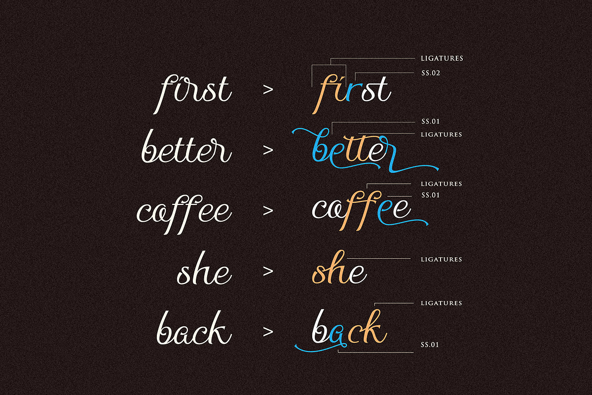 The Beauty Font Bundle | 6 in 1, a Script Font by StoricType (Photo 6 of 23)