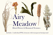 Airy Meadow – Dried Flower & Meadow, an Object Graphic by Aga Silva (Thumbnail 3 of 7)