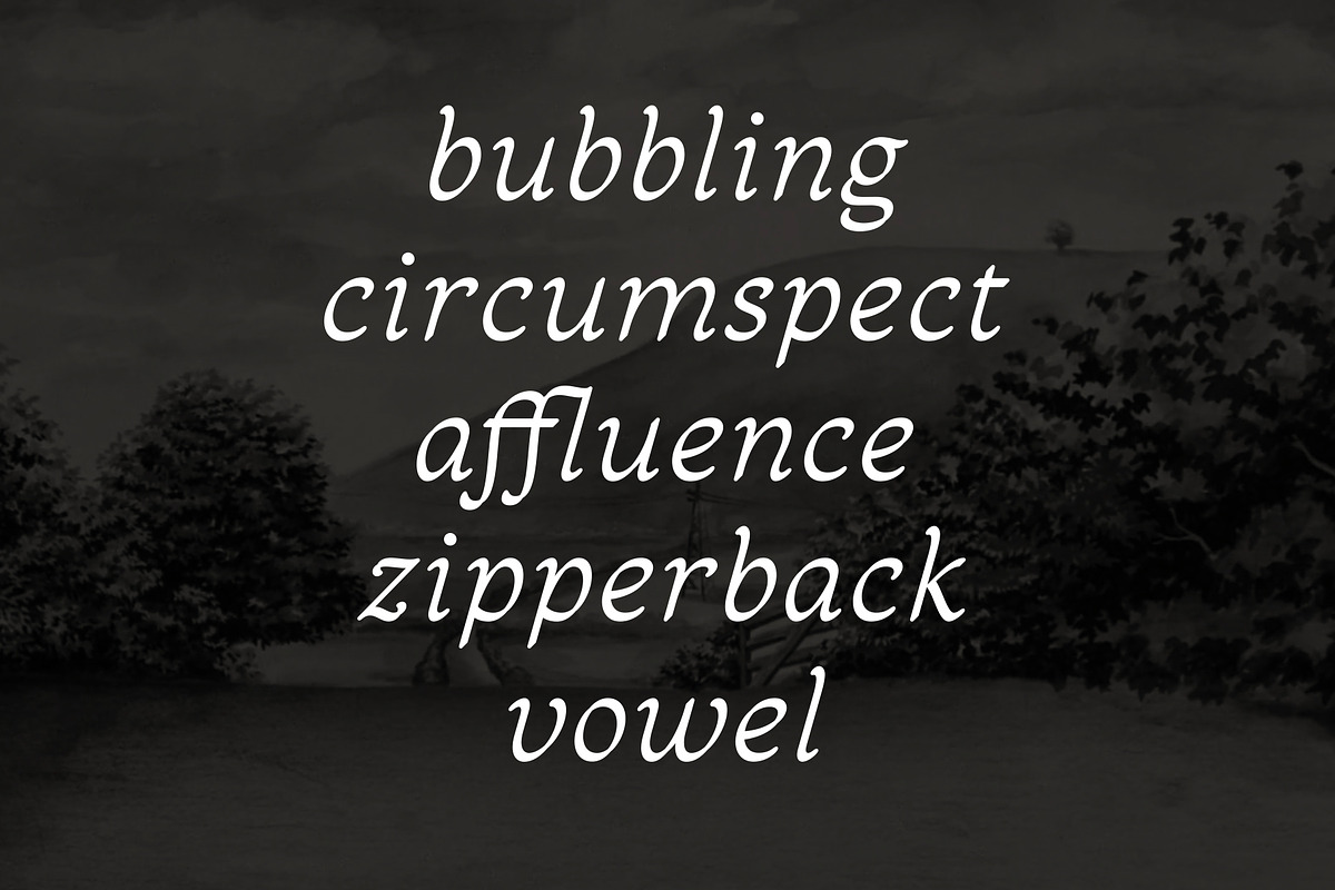 Sandleford Italic, a Serif Font by Simon Walker (Photo 2 of 9)