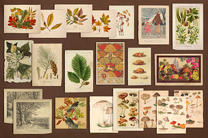 100 Vintage Autumn Ephemera