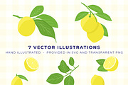 Lemon Patterns & Graphics Bundle, a Pattern Graphic by Fern & Quill (Thumbnail 2 of 7)