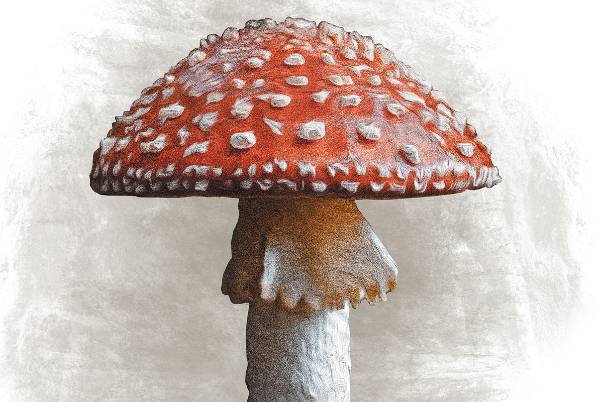 Mushroom Illustration, a Decorative Illustration by Digital Art Downloads (Photo 3 of 4)
