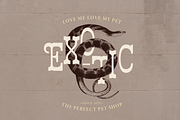 Erikoji | Retro Slab Serif, a Slab Serif Font by Denustudios (Thumbnail 6 of 16)