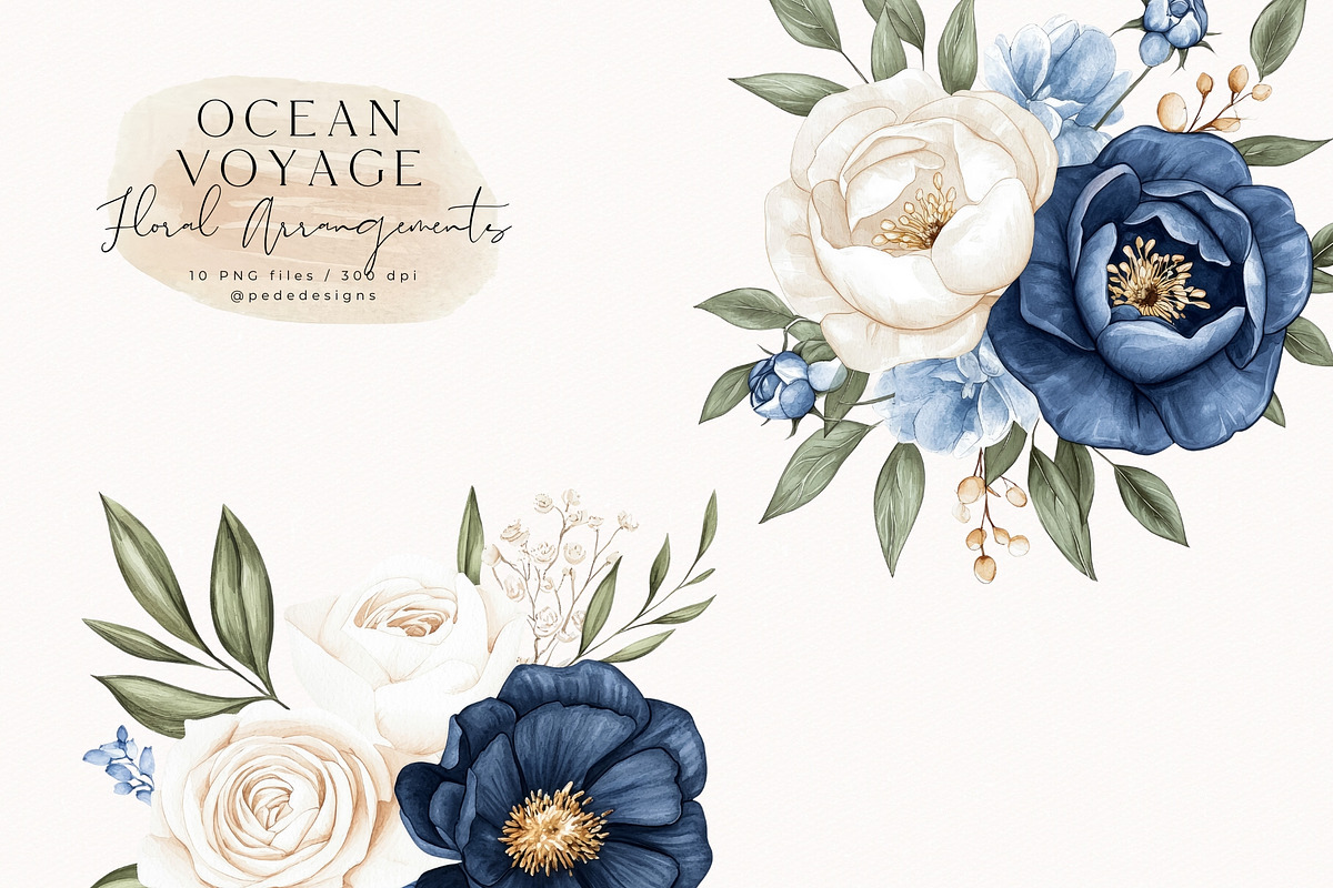 Ocean Voyage Collection, a Decorative Illustration by PeDe Designs (Photo 10 of 26)