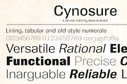 Cynosure, a Sans Serif Font by Device (Thumbnail 8 of 8)