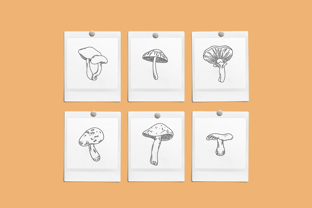 Toadstools Vector Illustrations, a Decorative Illustration by Emma Webb Studio (Photo 2 of 7)