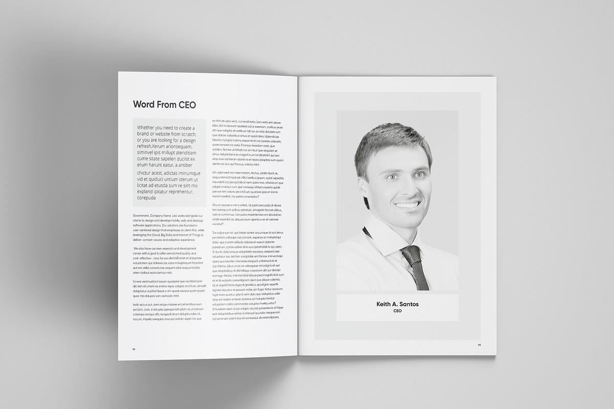 White Paper Template Word, a Brochure Template by azadcsstune (Photo 4 of 12)