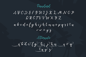 Steemsa Funny Script Font