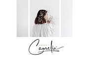Alessa Beilaire Deluxe Edition, a Script Font by Cotbada_studio (Thumbnail 4 of 14)
