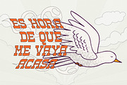 SHEAL THON SLAB Display Font, a Slab Serif Font by Storytype Studio (Thumbnail 3 of 14)