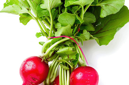 Vibrant radishes with green leaves i, a Photo by LOGOCREATIVE