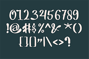 Havenli Script Font, a Script Font by Berdansabersama (Thumbnail 3 of 9)