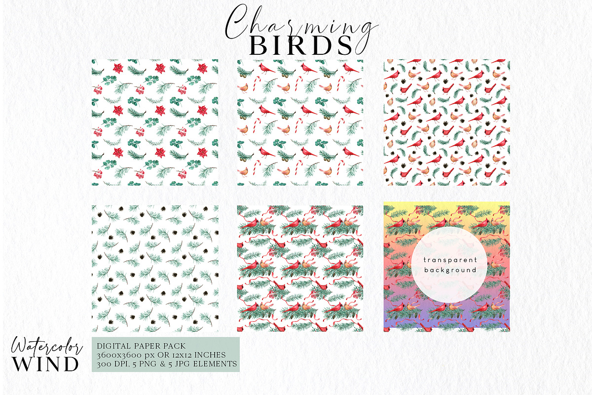 Christmas Teal Clipart Cardinal Bird, an Illustration by Ksenia Shmakova (Photo 13 of 16)