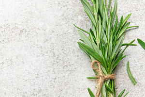 Fresh rosemary sprigs tied with twine on stone surface, a Food & Drink Photo by Olena Rudo