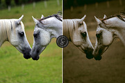 Dark & Moody Lightroom Presets, an Action Add-On by Signature Edits (Thumbnail 17 of 20)