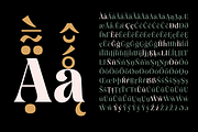 Rasbern — 18 Fonts, a Serif Font by Nasir Udin (Thumbnail 14 of 17)
