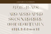 Saroe - Elegant Serif Font, a Serif Font by Aqeel_Art (Thumbnail 12 of 13)