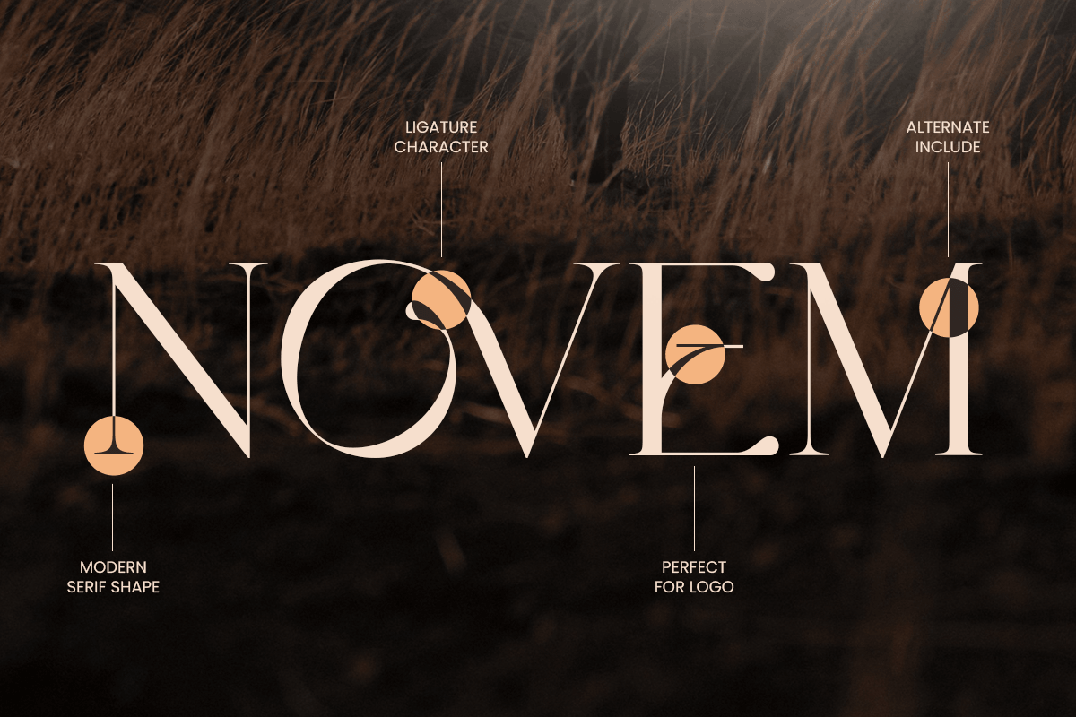 LOOK - Modern Elegant Logo Font, a Serif Font by Sensatype (Photo 9 of 13)