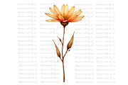 Rust Colored Wildflowers, a Decorative Illustration by Bloom Craft Creations (Thumbnail 6 of 10)