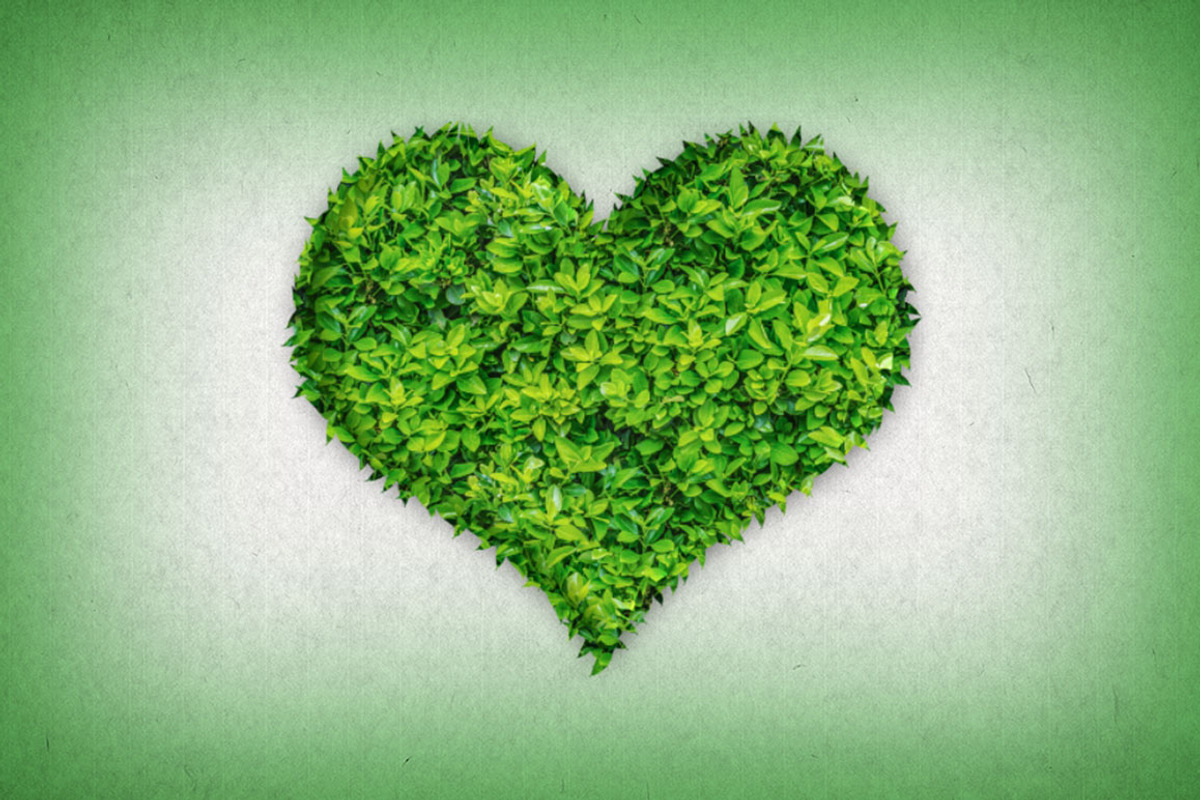 Leaf Text Effect Photoshop Action, an Action Add-On by DESIGNAVO (Photo 7 of 7)
