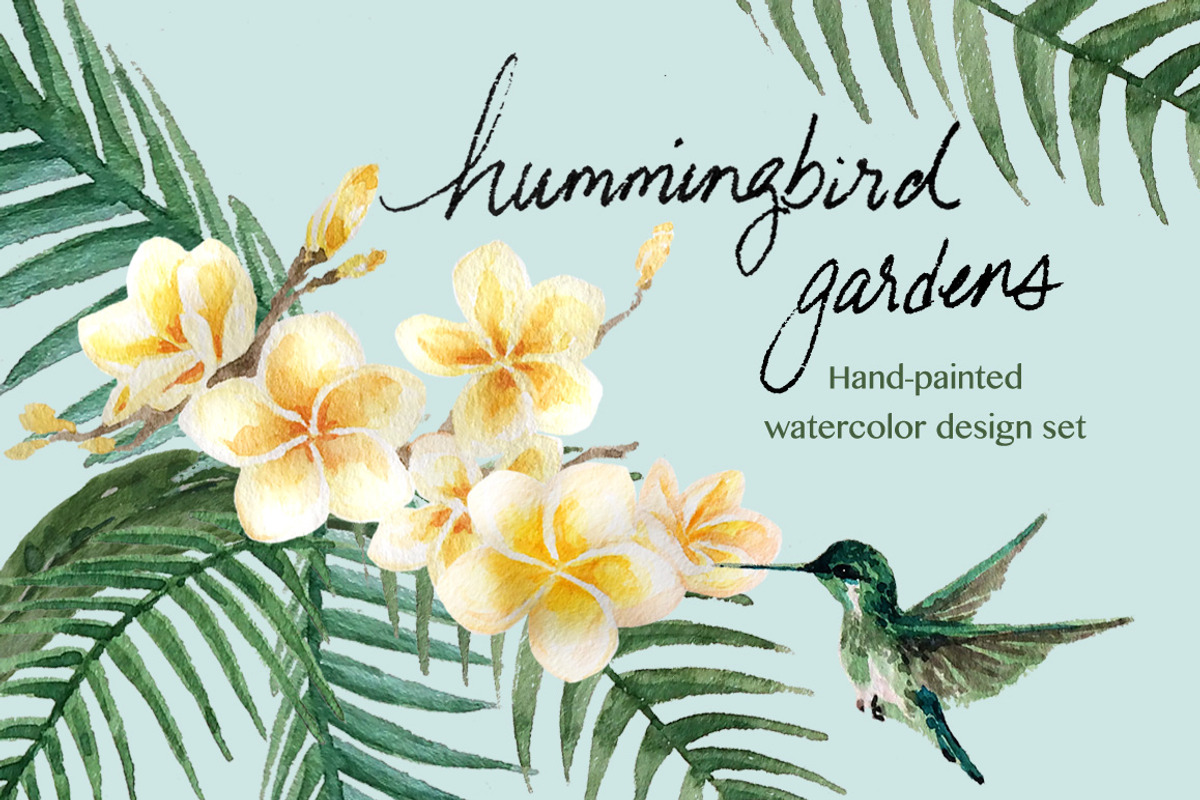 Hummingbird Gardens - Watercolor Set, an Illustration by amyxbao (Photo 1 of 8)