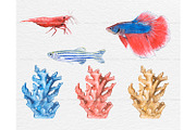 Watercolor tropical fish clipart, an Animal Illustration by ArtfulStudio (Thumbnail 7 of 8)
