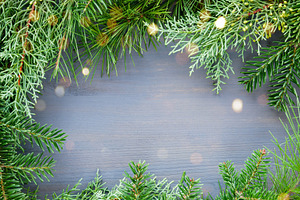 Pine and fir tree branches frame, a Background Photo by MarBom