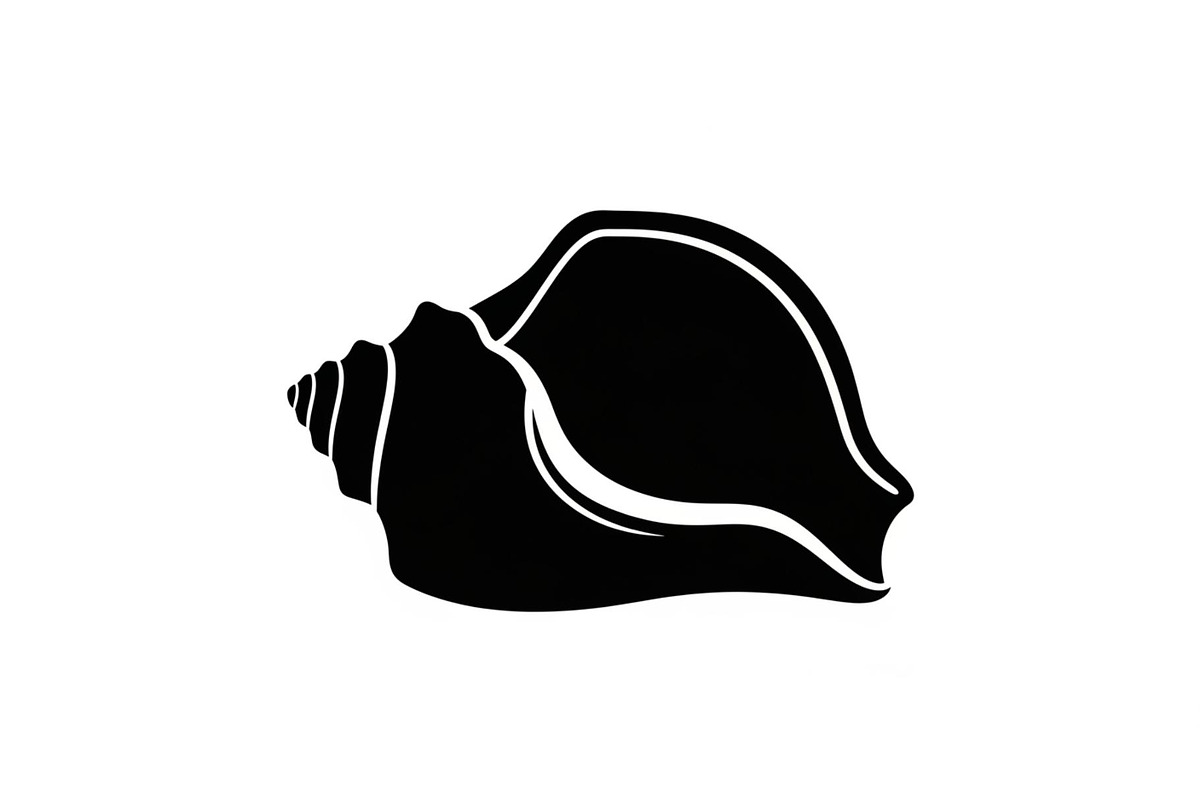 Shell Silhouette Vector Bundle, an Illustration by hafijul (Photo 19 of 48)