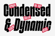 Division Grotesk Font Family, a Sans Serif Font by Asenbayu (Thumbnail 5 of 15)