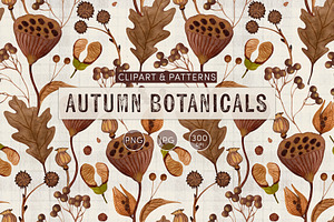 Autumn Botanicals Clipart & Patterns