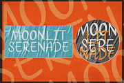 Echoes of Love, a Script Font by Almeera Std (Thumbnail 3 of 6)
