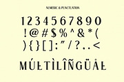 Elnaks Modern Serif Display, a Serif Font by Luna Shop (Thumbnail 5 of 9)