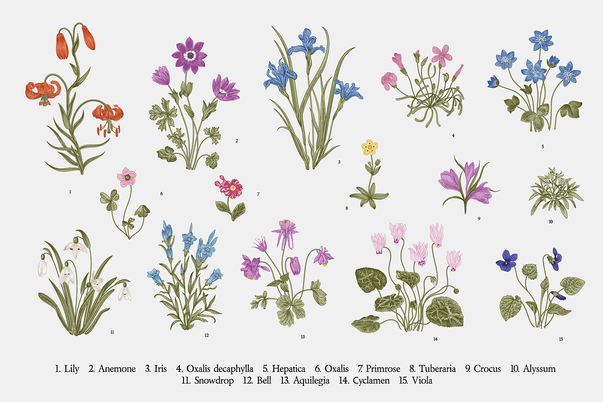 Mille-fleurs. Happy Easter, a Decorative Illustration by olga.korneeva (Photo 3 of 15)