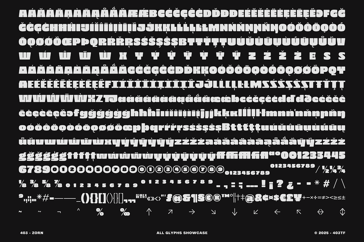 403 Zorn Variable Display Font, a Sans Serif Font by 403 Type Foundry (Photo 6 of 16)