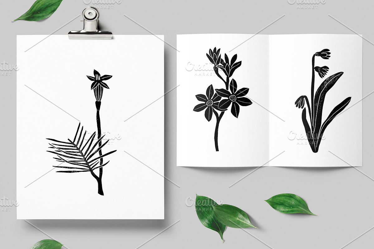 Vintage botanica, an Object Graphic by Mii Lab (Photo 5 of 8)
