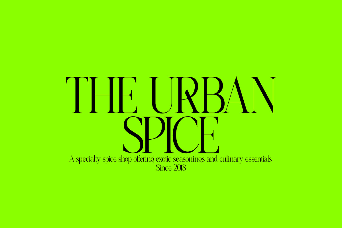 Replica - Elegant & Modern Serif, a Serif Font by subkulturetype (Photo 8 of 11)