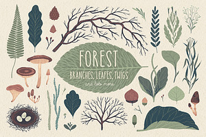 Natura Graphic Elements Pack