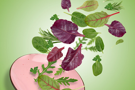 Green leaves of rosemary, spinach, arugula fly into a pink plate, a Food & Drink Photo by ndanko