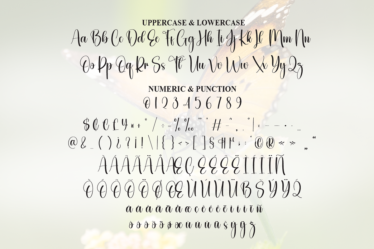 Butterfly | Script Font, a Handwritten Font by Scratchones (Photo 7 of 9)