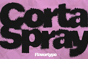 Corta Spray, a Sans Serif Font by Flavortype (Thumbnail 1 of 16)